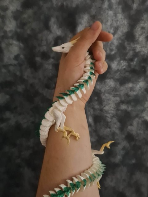 Haku zwykły Haku zwykły